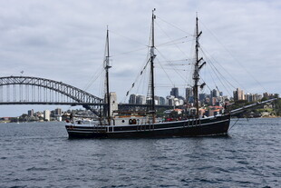 悉尼港中的古典帆船