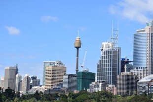 悉尼城市天际线景观