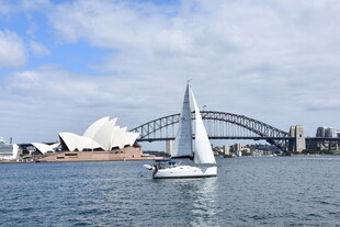 悉尼港湾帆船与标志性建筑