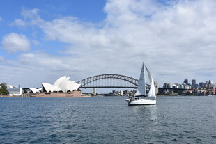 悉尼歌剧院与海港大桥景观