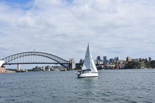 悉尼港湾帆船与大桥美景