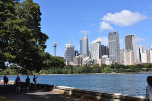 悉尼城市滨水风光美景