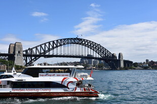 悉尼海港大桥下的游船