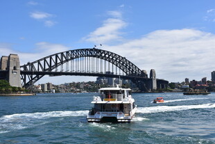 悉尼海港大桥下的游船