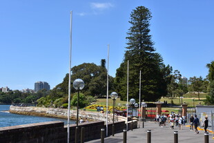 悉尼海滨公园热闹景象