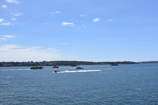海上快艇激起白色浪花