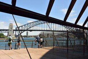 悉尼海港大桥下的观景者