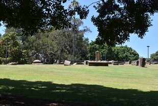 绿荫下的开阔草地风光