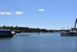 宁静港湾中的停泊船只
