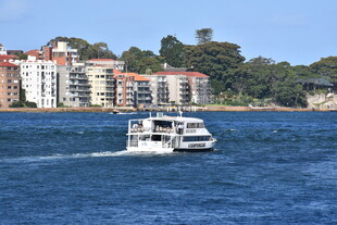 海上游船与岸边建筑景观