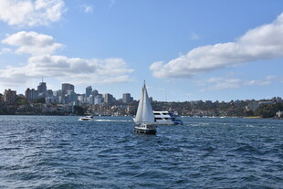 海上帆船与城市天际线