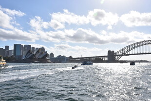 悉尼海港风光
