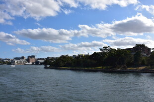 河畔风光 蓝天白云绿树