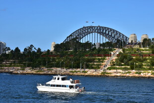 悉尼港湾游船与大桥景观
