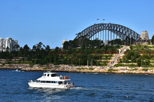 悉尼港游船与标志性桥梁