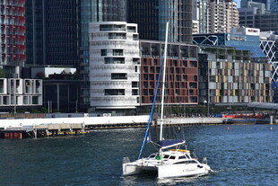 城市滨水风光中的航行帆船