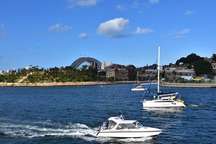 海上航行的白色船只