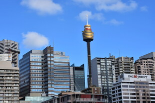 悉尼城市景观中的地标塔