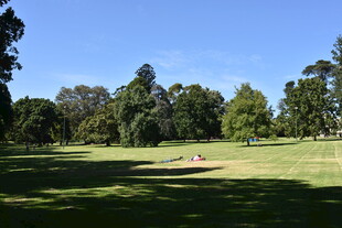 户外绿意盎然的休闲草地