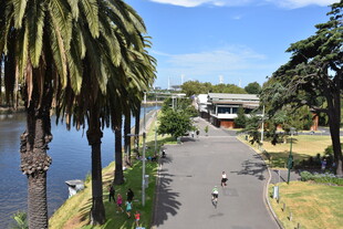 河畔林荫道 惬意休闲处