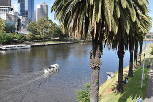 河畔风景 小船穿行绿树间