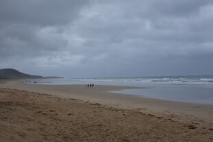 阴云下的宁静沙滩