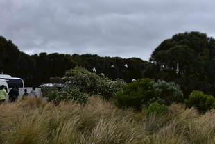 野外露营场景中的自然风貌