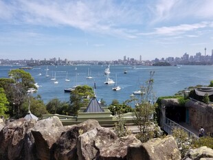 悉尼海港美丽自然景观