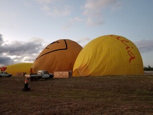田野上的多彩热气球