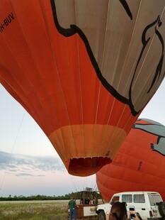 地面视角下的多彩热气球