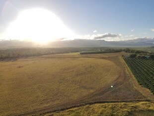 田野风光航拍图