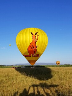 田野上空的卡通热气球