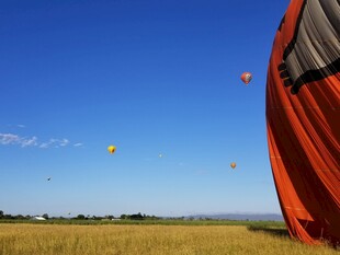 田野上的多彩热气球