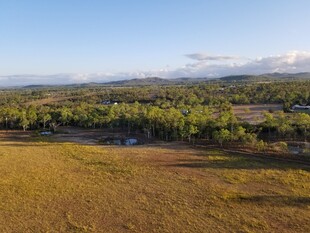 广袤原野与葱郁树林景观