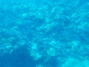 清澈海面下的蓝色光影