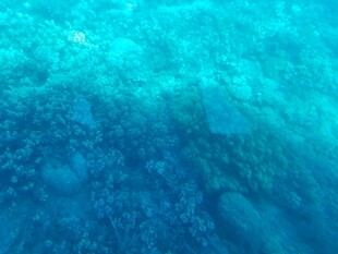 海底蓝色梦幻景致