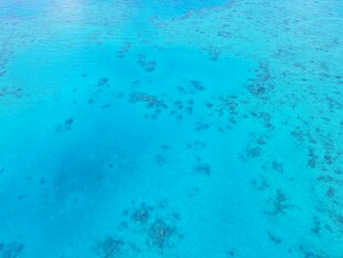 梦幻蓝色海底世界