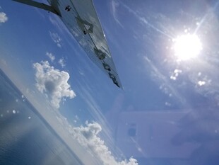 蓝天中翱翔的飞机