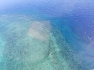 俯瞰清澈美丽的海底世界