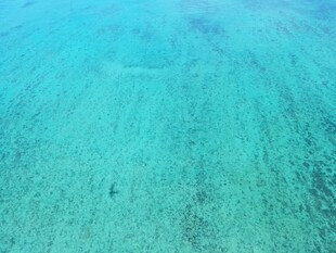 清澈碧蓝的海洋水面