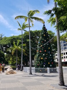 城市广场的圣诞树景观