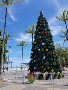 户外装饰精美的圣诞树