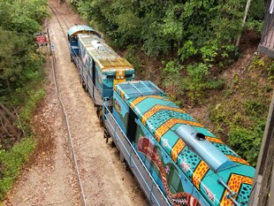 彩色火车穿行于山林间