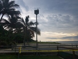 海边黄昏下的棕榈树与灯塔