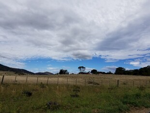草原风光 蓝天白云下的景致