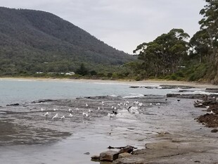 宁静湖畔的山水自然景致