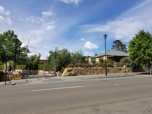 城市道路旁的自然景致