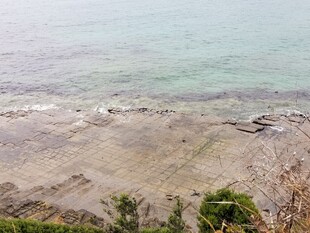 海边沙滩近景风光