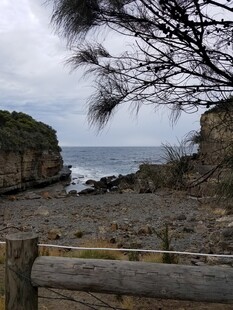 海边木栏旁的自然景致