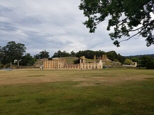 古老遗迹 广袤草地与树木